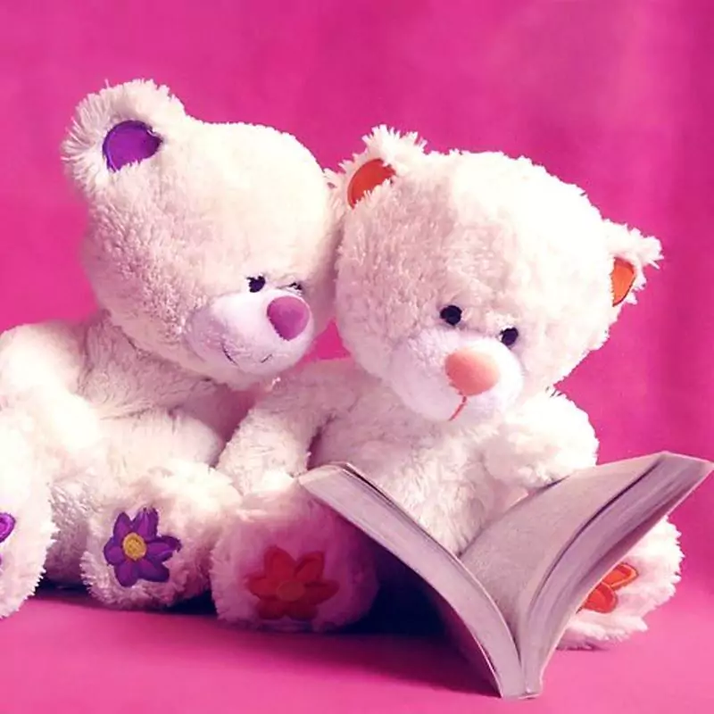 teddy bear pink colour